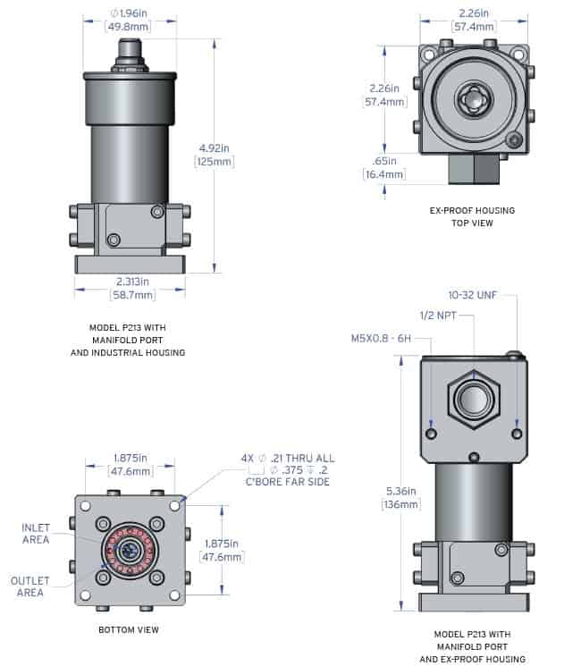 P213MAN Spec Image 2019